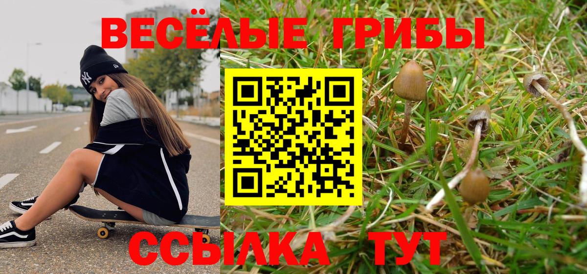 Галлюциногенные грибы ЛСД Белая Калитва