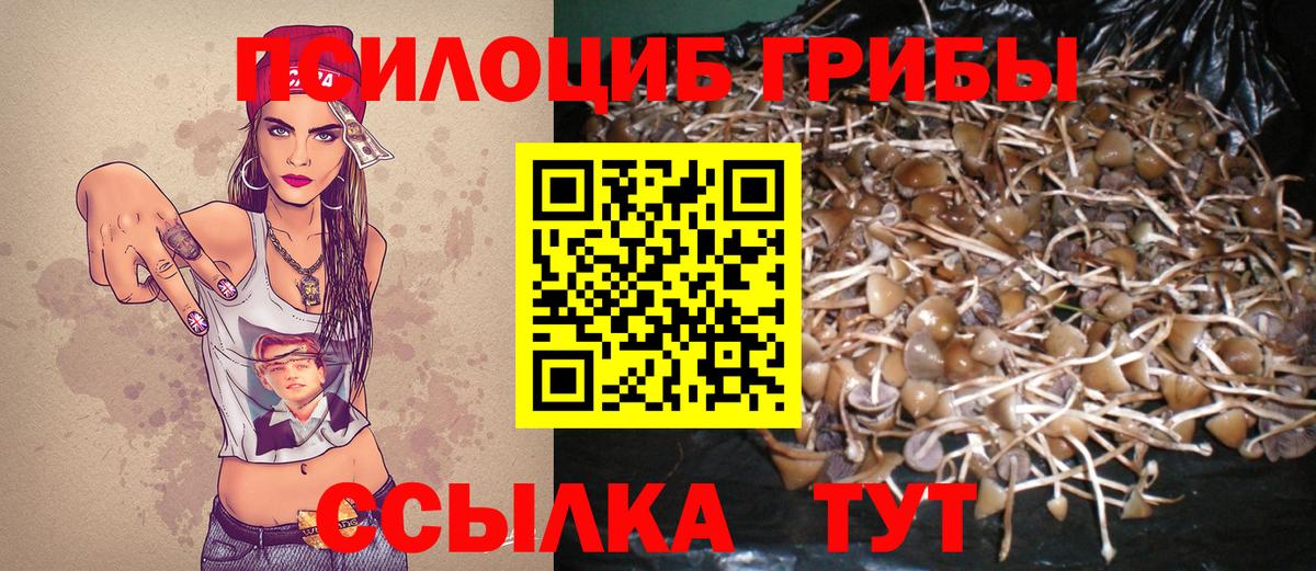 Белая Калитва  Псилоцибиновые грибы Cubensis  Вход с VPN 